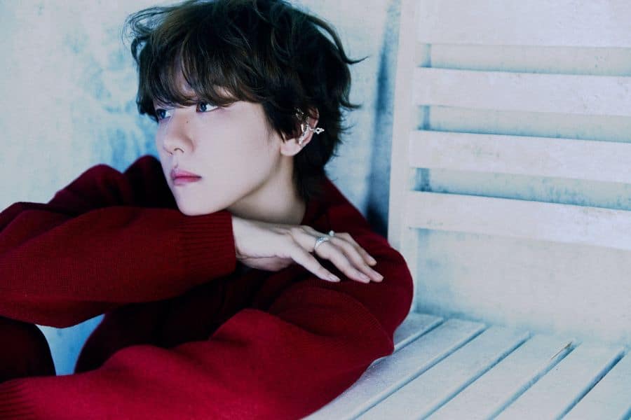 south korean singer baekhyun