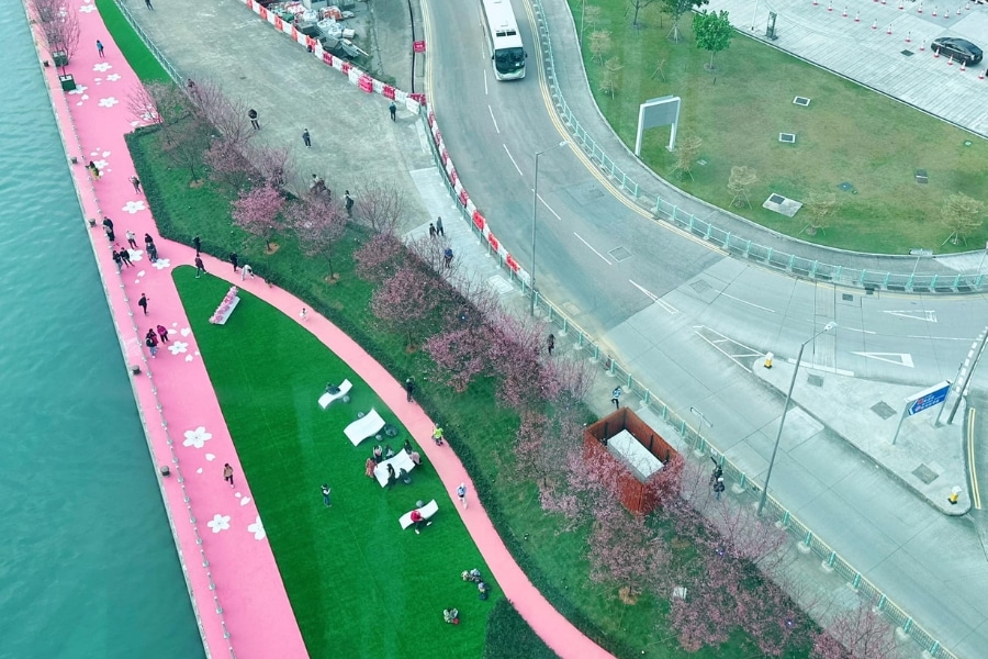 cherry blossom garden facilities