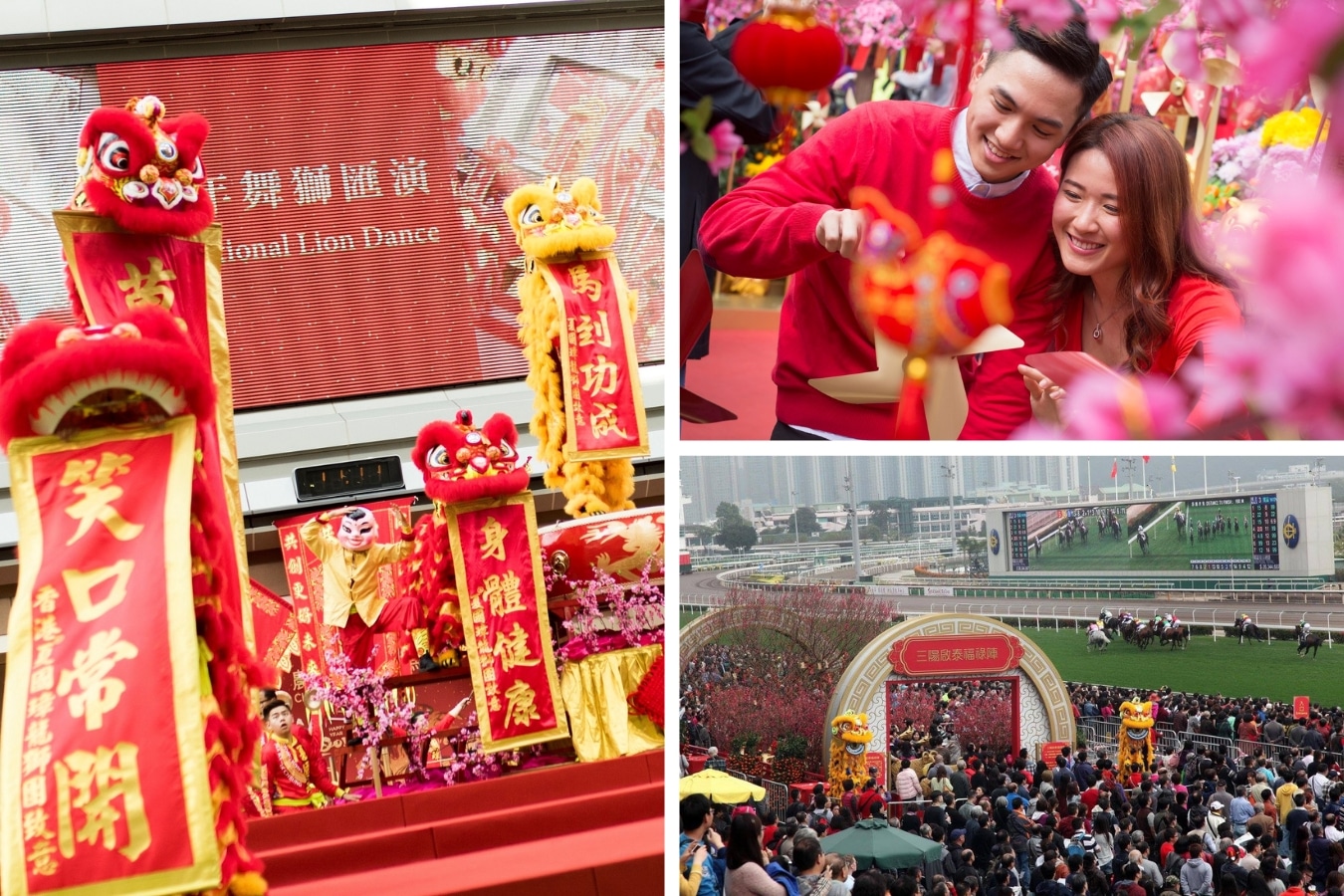 sha tin race course hong kong chinese new year