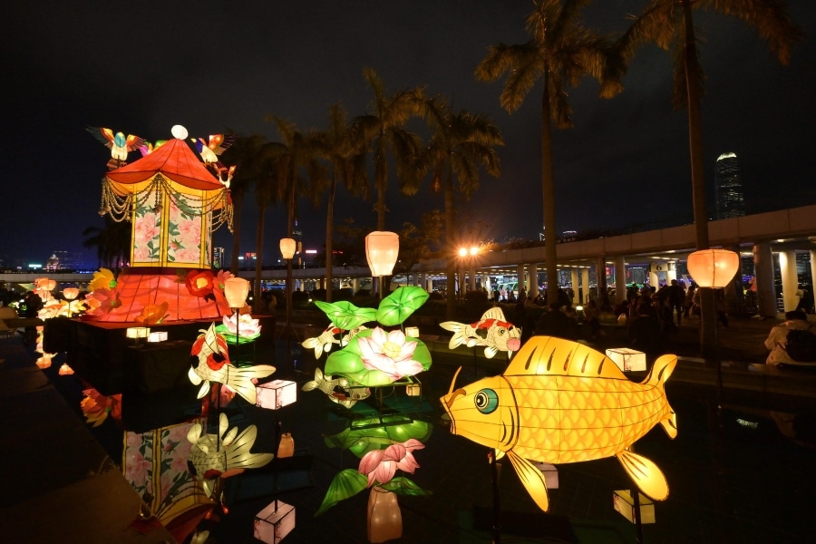 chinese new year lantern palace fish