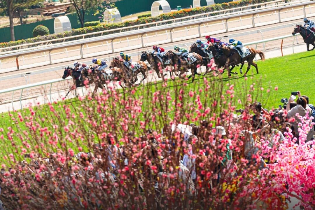 chinese new year raceday returns with expected winnings of hkd 20.8million