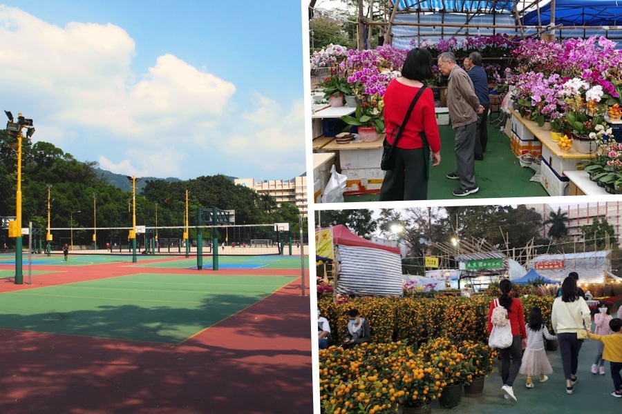 the cny flower booths at fai hui park's lunar new year fair