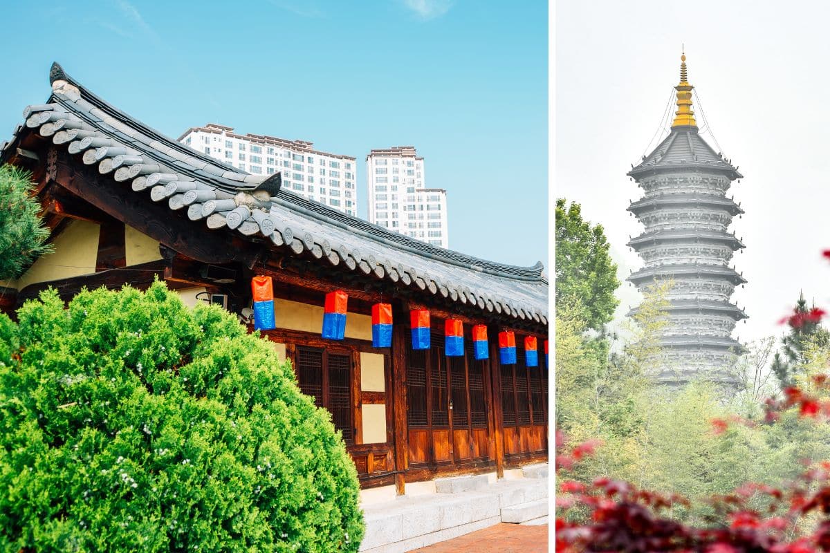 HK Express To Open New Routes To China, Korea and Japan by This Summer