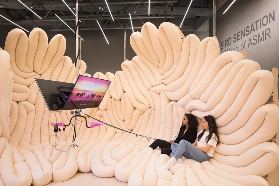 hong kong asmr exhibition