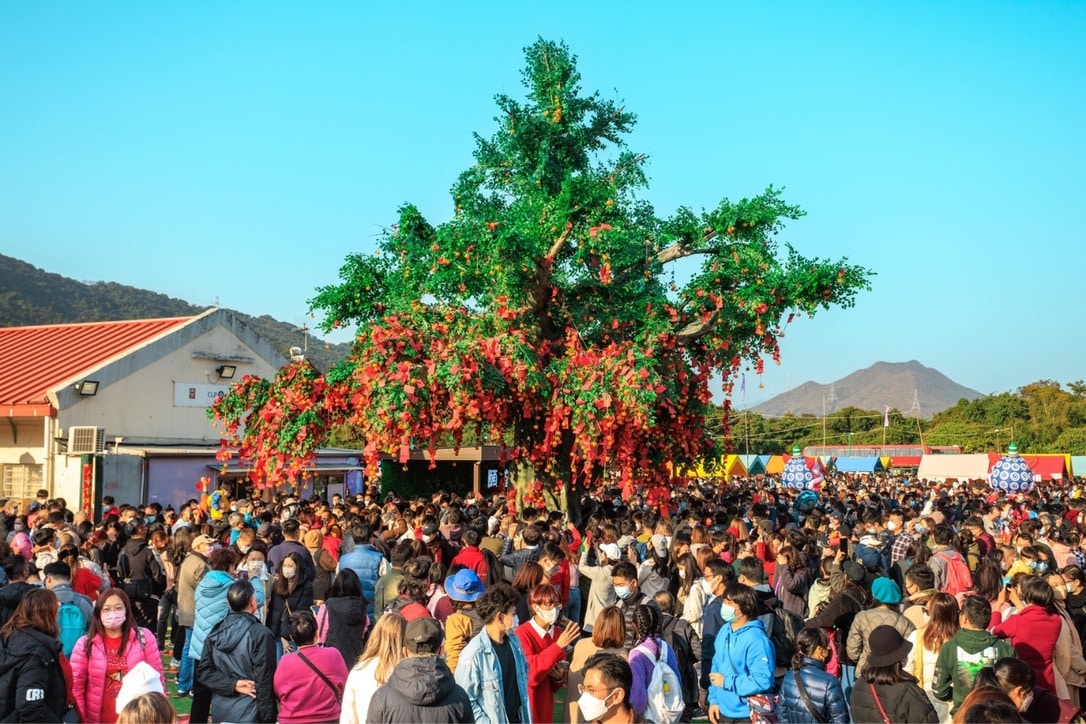 lam tsuen wishing well tree hong kong
