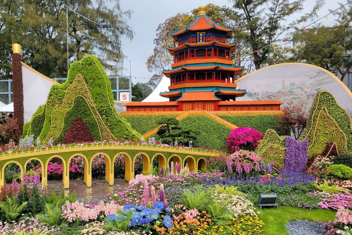 hong kong flower show 2025 masterpiece