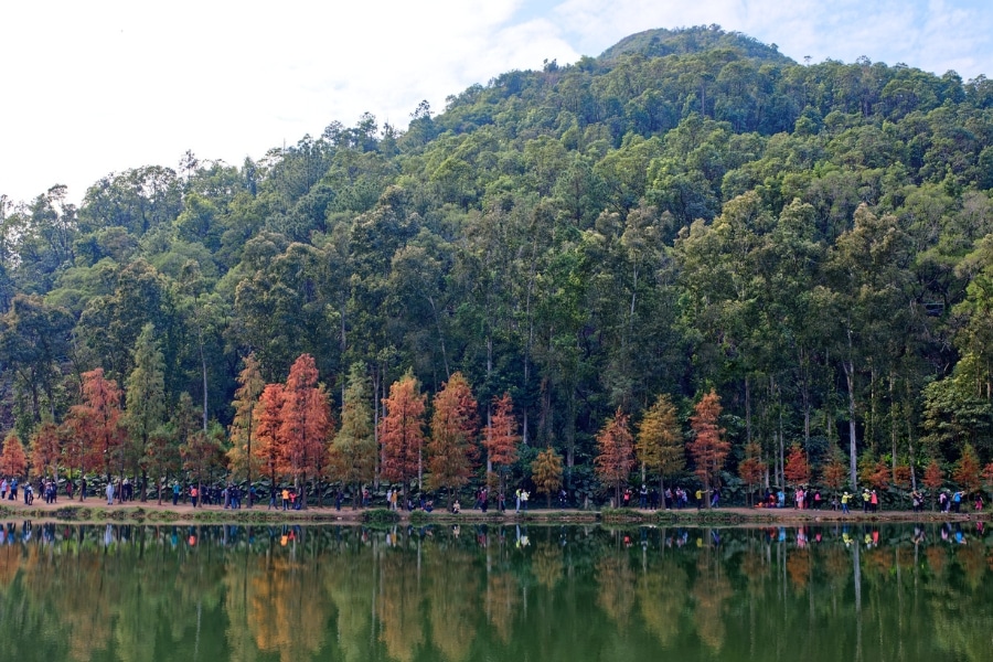 hong kong red leaf hike lau shui heung reservoir