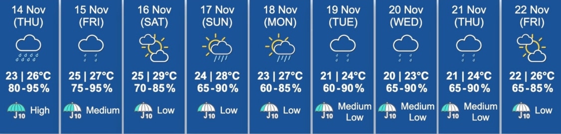 hong kong weather forecast november 14 22 2024