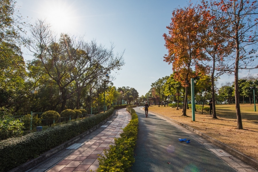 jordan valley park hong kong autumn jogging track