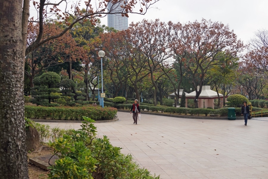 kowloon walled city park autumn leaves hong kong