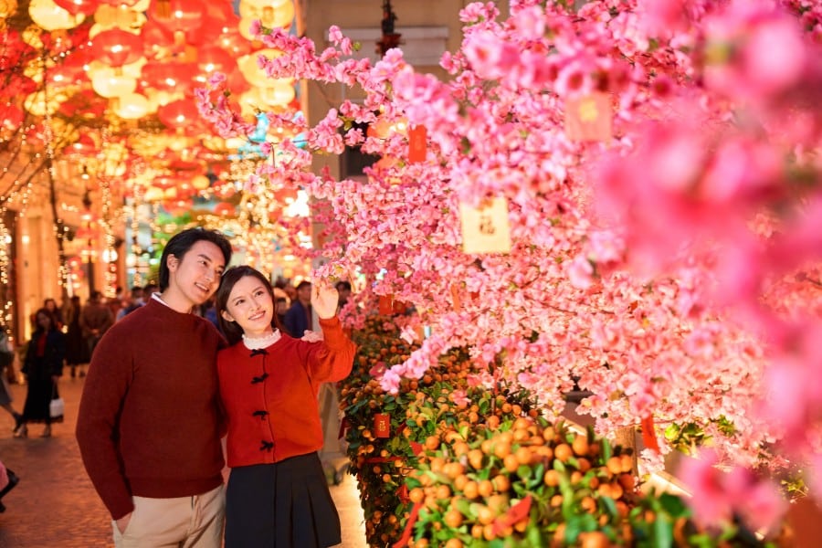 the peach blossom garden under a canopy of lanterns at lee tung avenue in wan chai