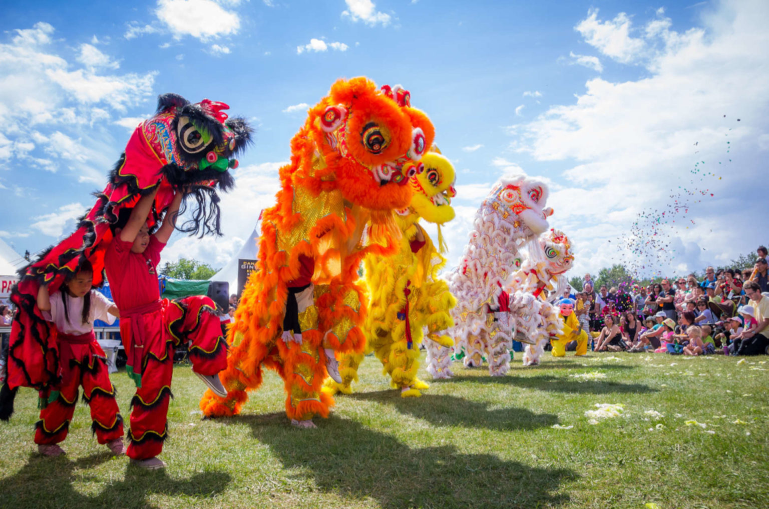 six lions face audience in lion dance show in canada