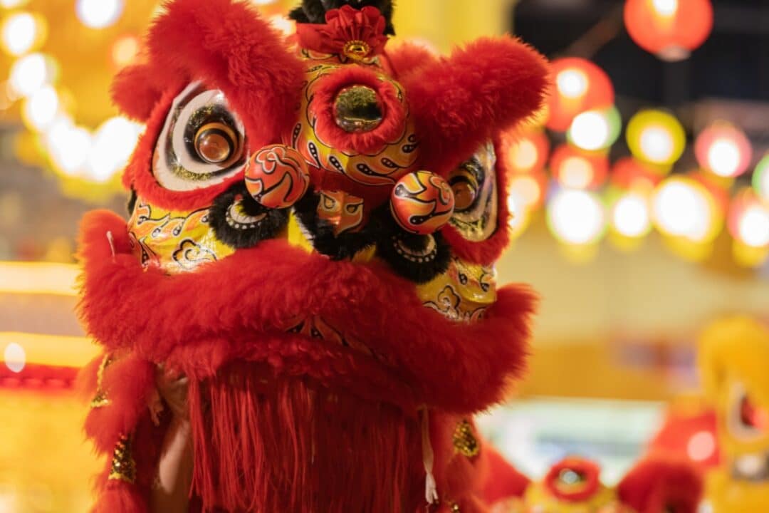 the head of lion that is usually used in chinese lion dance