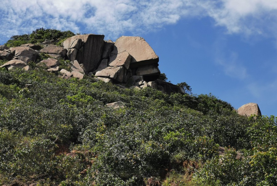 mask rock hong kong