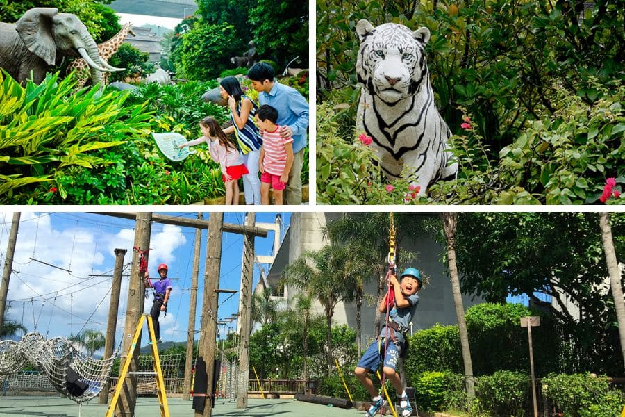 noah's ark hong kong