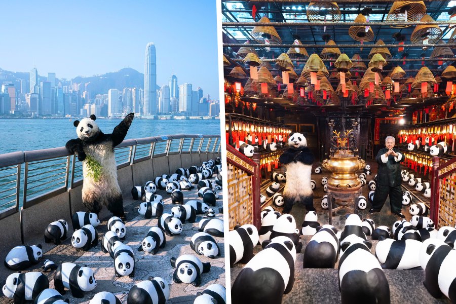the panda sculptures of panda go fest at avenue of stars and man mo temple