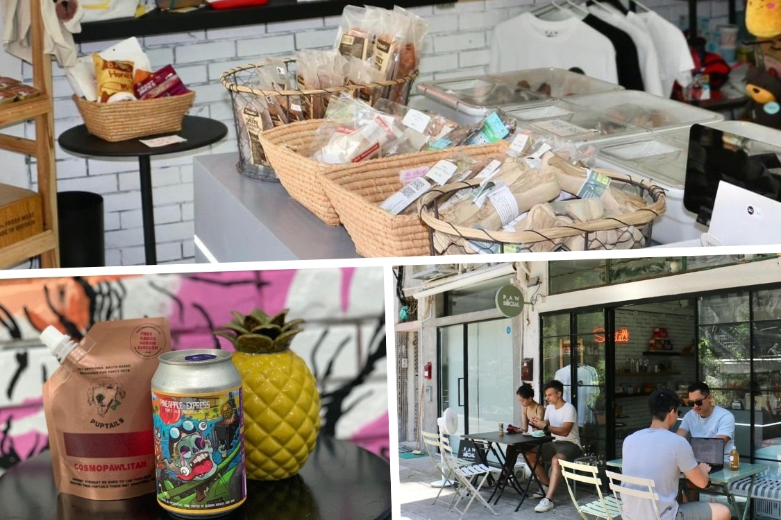 paw social hong kong pet store