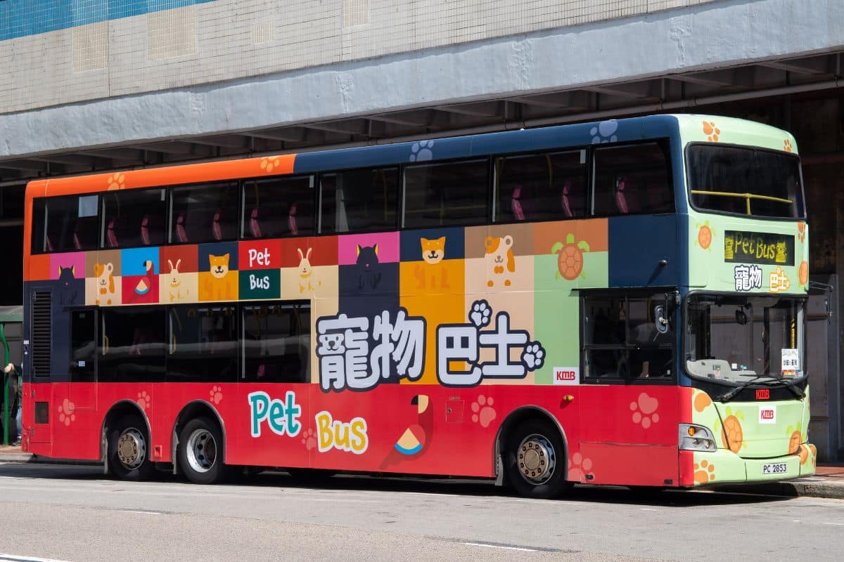 KMB Pet BusDB 2025