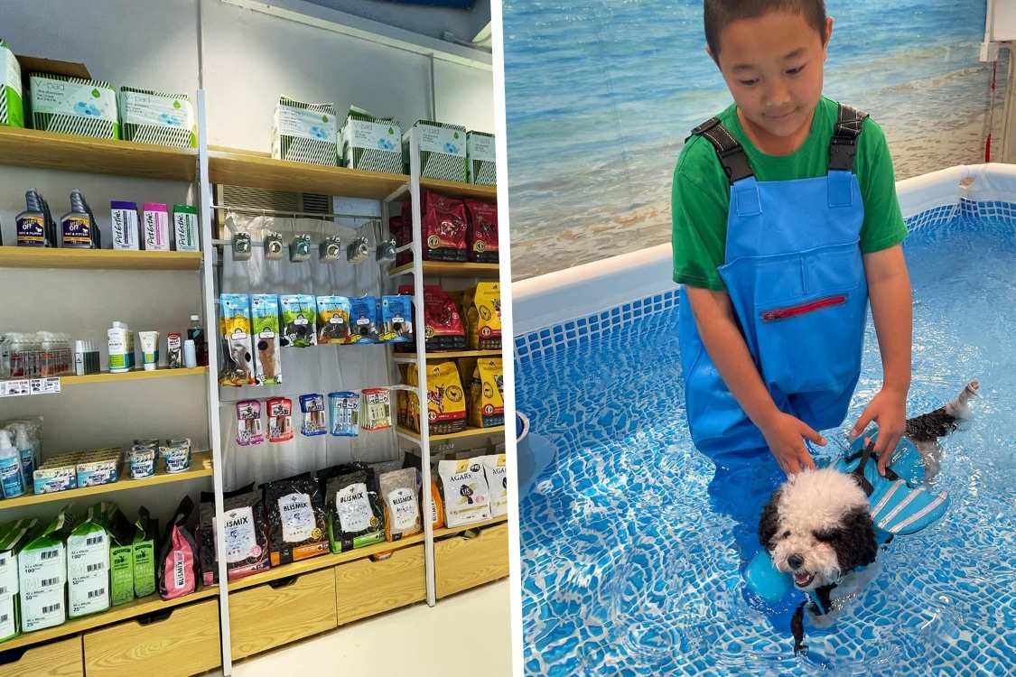 puppy love pet grooming hong kong