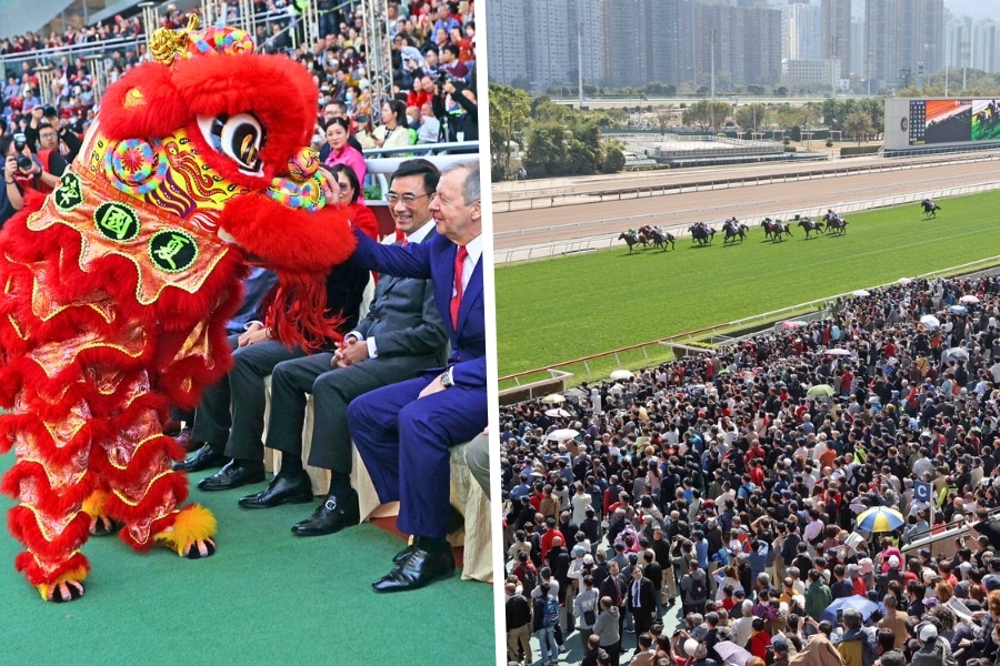 lion dance at chinese new year cup at sha tin racecourse