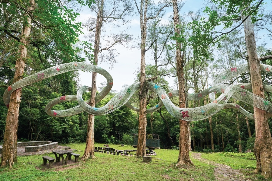 shing mun country park art installation trees