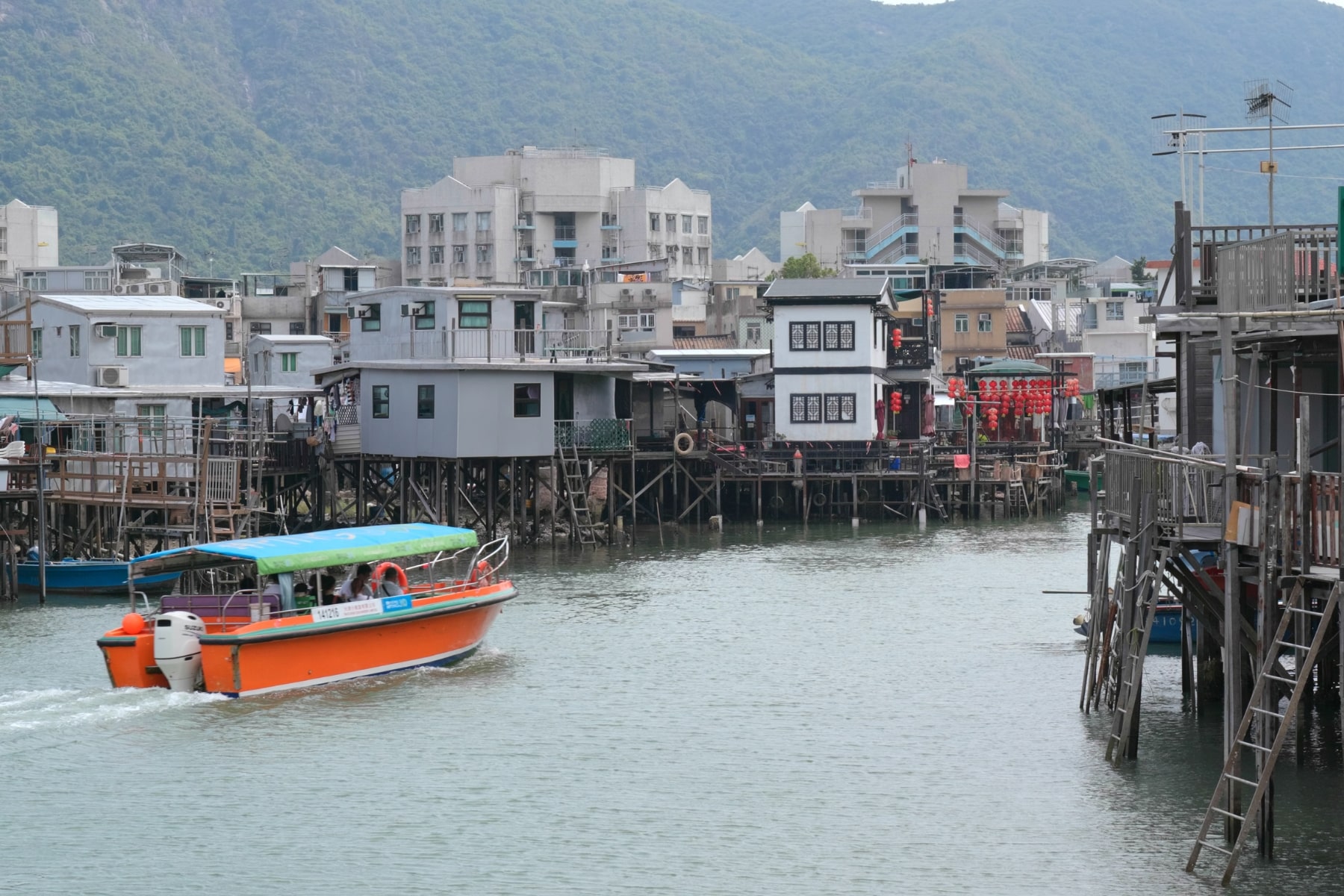 tai o hong kong