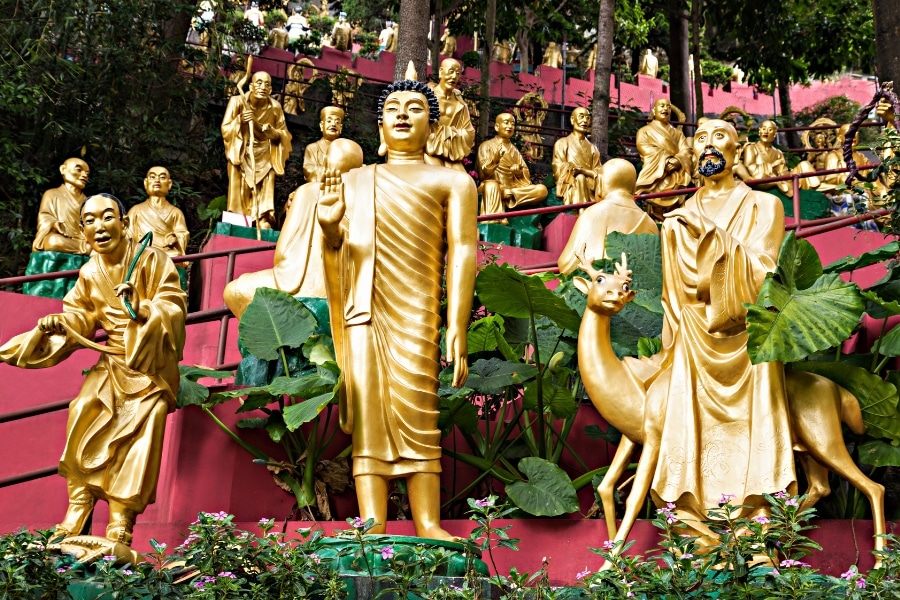 the stairs going up to the complex at ten thousands buddhas monastery is adorned with gold statues