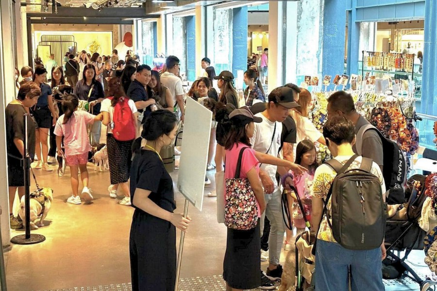 the pet-friendly pop up market at the mills