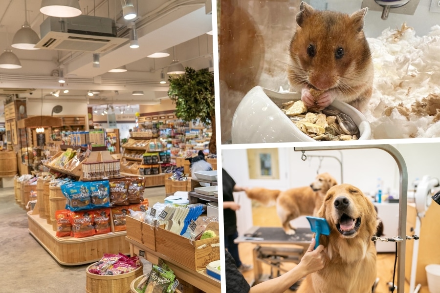 whiskers n paws pet store hong kong