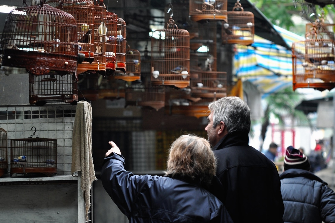 yuen po bird garden hong kong birdcages