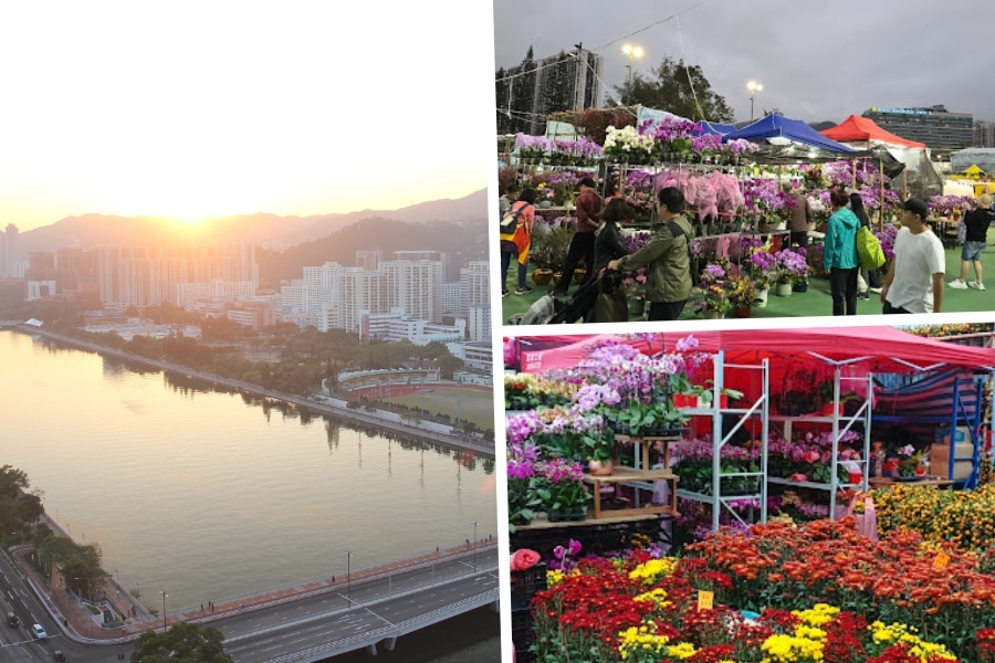 the lunar new year fair at yuen wo playground, located next to shing mun river