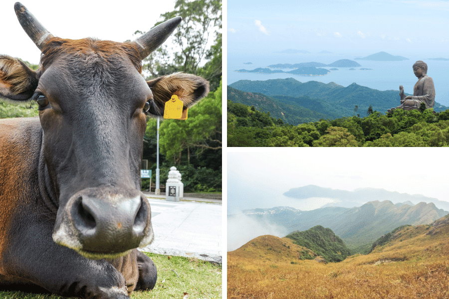 Lantau Island Hong Kong