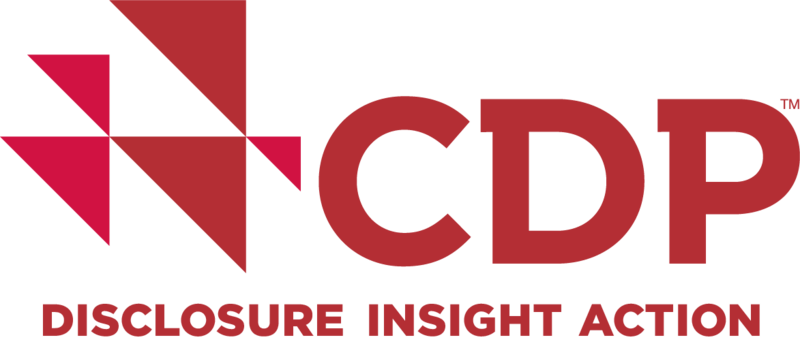 CDP_logo_Primary_RGB(1)